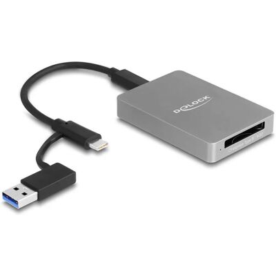DeLock USB-C Card Reader - CFexpress/XQD - 10 Gbps DeLock USB-C Card Reader - CFexpress/XQD - 10 Gbps