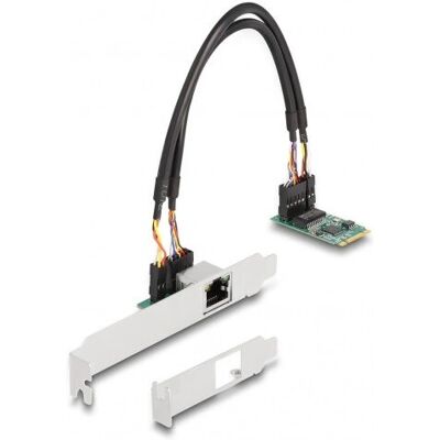 Karta sieciowa DeLOCK 95272 - Ethernet wewnętrzny - 2,5 Gbps Karta sieciowa DeLOCK 95272 - Ethernet wewnętrzny - 2,5 Gbps
