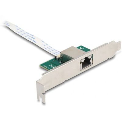 Carte Réseau DeLOCK 95274 - Ethernet 10 Gbps M.2 PCIe Carte Réseau DeLOCK 95274 - Ethernet 10 Gbps M.2 PCIe