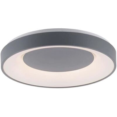 LEUCHTEN DIREKT Anika Lampe Plafond Grise - Dimmable, 48cm - Publicité LEUCHTEN DIREKT Anika Lampe Plafond Grise - Dimmable, 48cm - Publicité