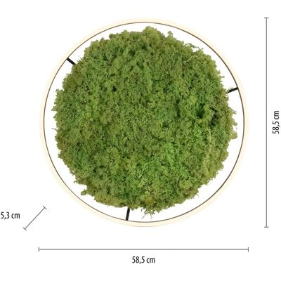 LEUCHTEN DIREKT Green Ritu Moos Deckenleuchte - Natürlich, Dimmbar, 3000K LEUCHTEN DIREKT Green Ritu Moos Deckenleuchte - Natürlich, Dimmbar, 3000K