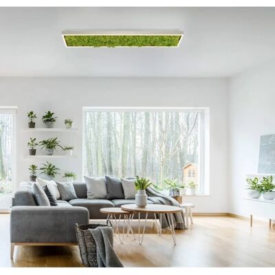 JUST LIGHT Grüne Knut LED Deckenleuchte - Modernes Flachdesign JUST LIGHT Grüne Knut LED Deckenleuchte - Modernes Flachdesign