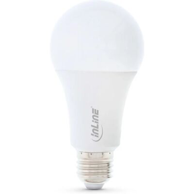 InLine 40159B Energiespar LED-Lampe - LED Lampe InLine 40159B Energiespar LED-Lampe - LED Lampe