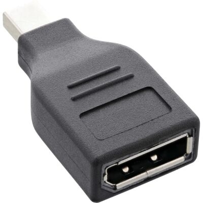 Adaptateur InLine 17196B Mini DisplayPort à DisplayPort - Noir Adaptateur InLine 17196B Mini DisplayPort à DisplayPort - Noir