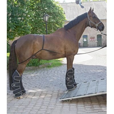 Waldhausen Aide de Chargement pour Chevaux - Chargement Facile - Publicité Waldhausen Aide de Chargement pour Chevaux - Chargement Facile - Publicité