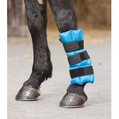 Bottes de refroidissement Waldhausen pour chevaux - Pétrole - Publicité Bottes de refroidissement Waldhausen pour chevaux - Pétrole - Publicité
