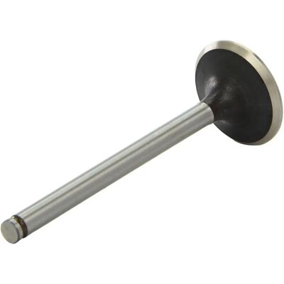 AE V91144 Inlaatklep - Geverfde klepsteel AE V91144 Inlaatklep - Geverfde klepsteel