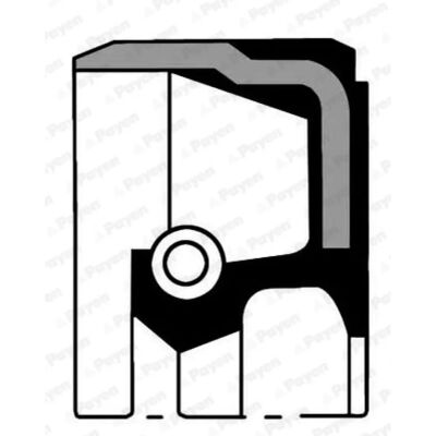 PAYEN NA5069 Uszczelka oleju silnika dla Alfa Romeo - 55x68mm FPM PAYEN NA5069 Uszczelka oleju silnika dla Alfa Romeo - 55x68mm FPM