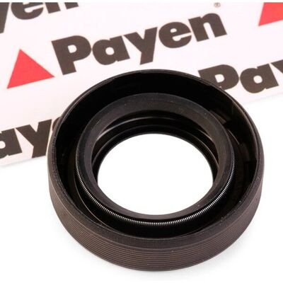 PAYEN Dichtung NA5204 - Differentialdichtung PAYEN Dichtung NA5204 - Differentialdichtung