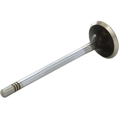 AE V98010 Inlaatklep - Geschikt voor VW, Audi, Skoda, 28.8mm AE V98010 Inlaatklep - Geschikt voor VW, Audi, Skoda, 28.8mm