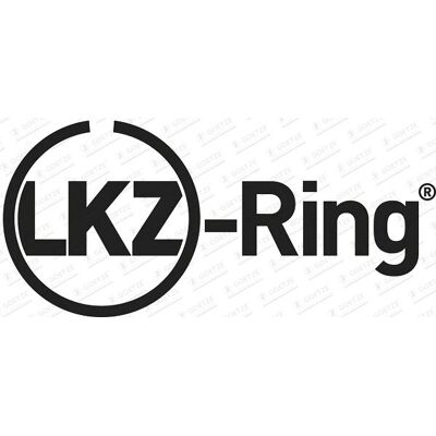 Goetze Engine 08-431000-00 Piston Ring Set - 126mm for Premix Engines Goetze Engine 08-431000-00 Piston Ring Set - 126mm for Premix Engines