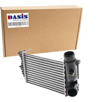 Aks Dasis Ladeluftkühler - Universalkühler für Peugeot, Fiat, Citroën, Lancia Aks Dasis Ladeluftkühler - Universalkühler für Peugeot, Fiat, Citroën, Lancia