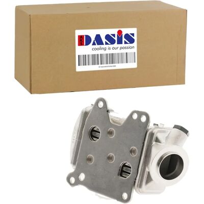 AKS DASIS 080125N Raffreddatore EGR per Alfa Romeo Fiat 500 AKS DASIS 080125N Raffreddatore EGR per Alfa Romeo Fiat 500