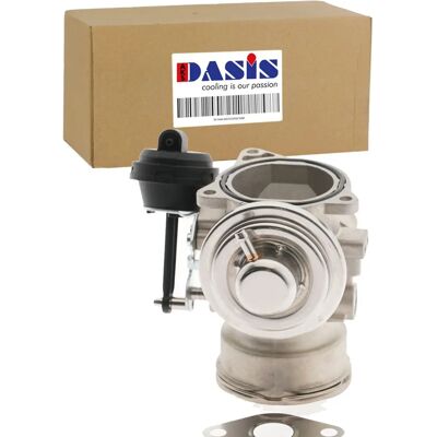 AKS DASIS 12101032 Pneumatic EGR Valve - EGR Valve AKS DASIS 12101032 Pneumatic EGR Valve - EGR Valve