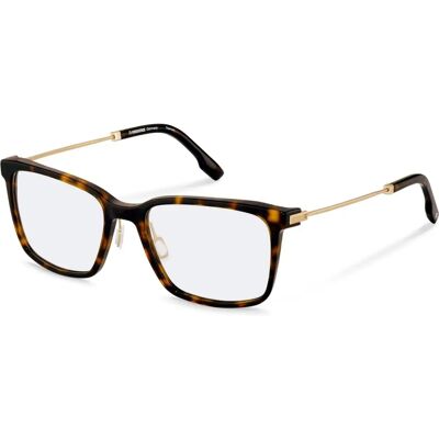 Rodenstock R8032 havana, gold - Oprawy Rodenstock R8032 havana, gold - Oprawy