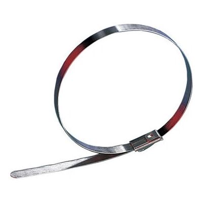 Lapp 61812960 Collier en acier inoxydable - 36cm - 4,6mm - -80-500°C - Acier - Publicité Lapp 61812960 Collier en acier inoxydable - 36cm - 4,6mm - -80-500°C - Acier - Publicité