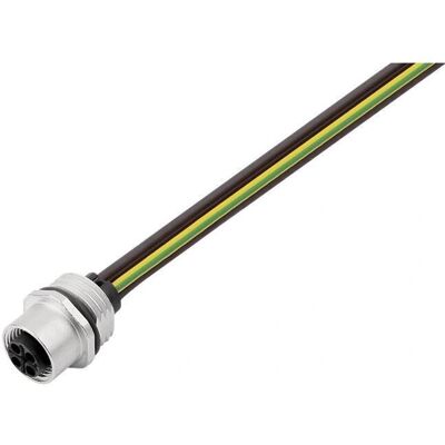 EPIC POWER M12 A4 M20 3+PE - Elektronikkabel & Stecker EPIC POWER M12 A4 M20 3+PE - Elektronikkabel & Stecker