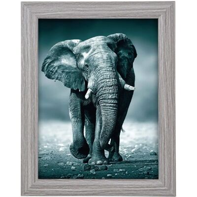 Goldbuch 92 0743 Toscana - Cadre photo en MDF de bois - Gris - Type de photo Goldbuch 92 0743 Toscana - Cadre photo en MDF de bois - Gris - Type de photo