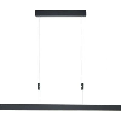 HELL Delta LED Pendelleuchte Schwarz Dimmbar 20504/1-06 HELL Delta LED Pendelleuchte Schwarz Dimmbar 20504/1-06
