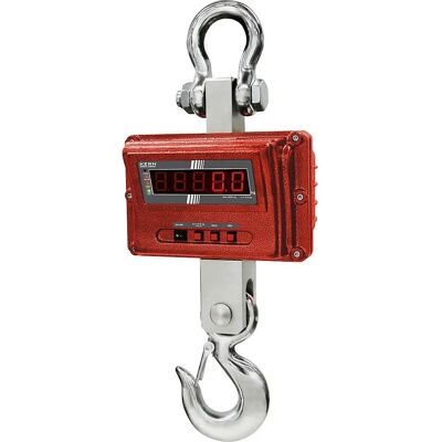 KERN Balance pour grue - 1000kg, 100g KERN Balance pour grue - 1000kg, 100g