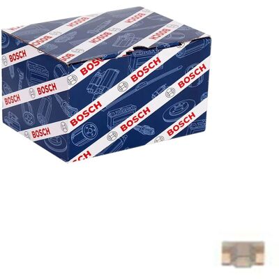 Fusible Bosch 2A para Coche - Fusible de vehículo Fusible Bosch 2A para Coche - Fusible de vehículo