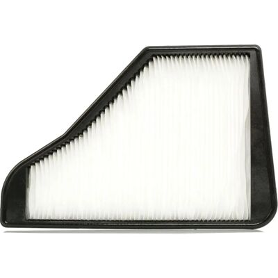 Bosch Kjøretøyluftfilter - Partikler, S, 391x256.9x43mm Bosch Kjøretøyluftfilter - Partikler, S, 391x256.9x43mm