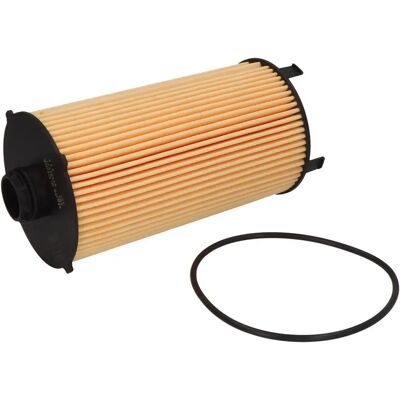 BOSCH F 026 407 303 Oljefilter - Filterpatron för IVECO Trakker II BOSCH F 026 407 303 Oljefilter - Filterpatron för IVECO Trakker II