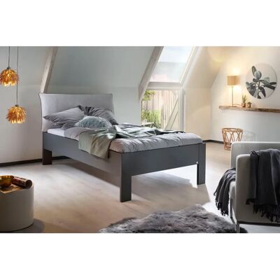 RAUCH Aditio Futonbett - Webstoff, 120x200 cm, 50cm Hoch - Futonbett RAUCH Aditio Futonbett - Webstoff, 120x200 cm, 50cm Hoch - Futonbett