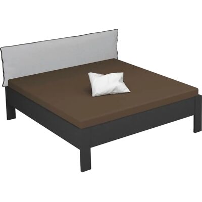 RAUCH Aditio Futonbett - 180x200cm, Grau, Ohne Matratze - Deutsche Qualität RAUCH Aditio Futonbett - 180x200cm, Grau, Ohne Matratze - Deutsche Qualität