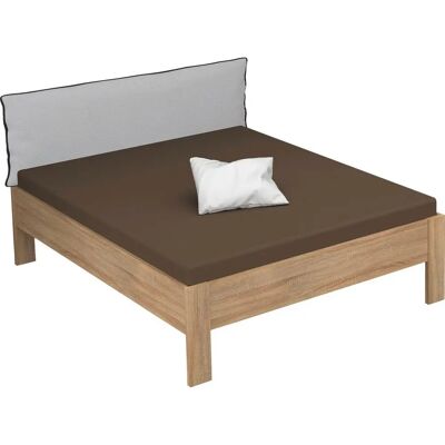 RAUCH Aditio Futonbett - 160x200cm, Braun, 50cm Hoch - Ohne Matratze RAUCH Aditio Futonbett - 160x200cm, Braun, 50cm Hoch - Ohne Matratze