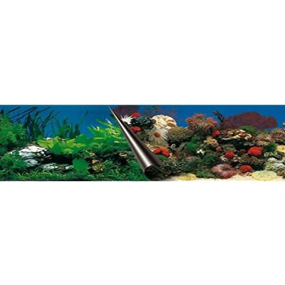 EBI Photo Stein Korallen Aquarium Rückwand - Dekoration EBI Photo Stein Korallen Aquarium Rückwand - Dekoration