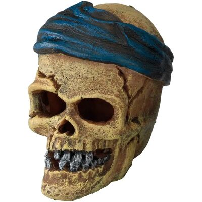 EBI Aqua Della Tête de Crâne de Pirate Épée - Décoration d'Aquarium - Publicité EBI Aqua Della Tête de Crâne de Pirate Épée - Décoration d'Aquarium - Publicité
