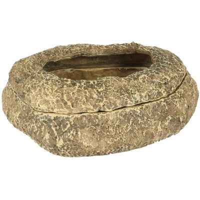 Terra Della Reptilien-Futterschale - 12x10x4,5 cm - Grau Terra Della Reptilien-Futterschale - 12x10x4,5 cm - Grau