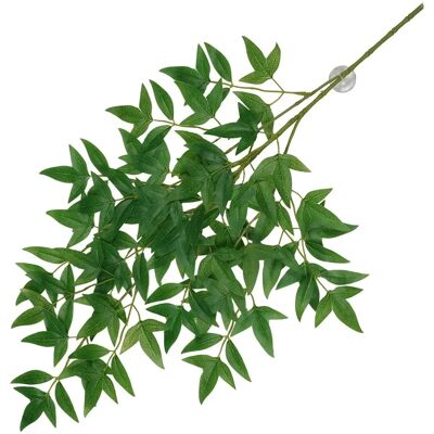 Plante Suspendue Nandina de Terra Della - Plante Plante Suspendue Nandina de Terra Della - Plante