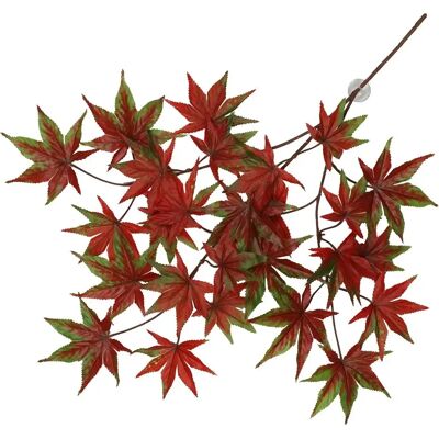 Plante suspendue de Cannabis rouge de Terra Della - plante Plante suspendue de Cannabis rouge de Terra Della - plante