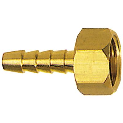 Riegler - Connettore tubo flessibile con filettatura femmina - G 1/4, tubo da 6mm, 15mm OD - 36mm Riegler - Connettore tubo flessibile con filettatura femmina - G 1/4, tubo da 6mm, 15mm OD - 36mm