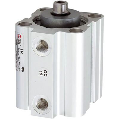 Riegler Cilindro de Doble efecto Magnético - Doble efecto, Imán, Ø 63, 25mm Carrera - Cilindros Riegler Cilindro de Doble efecto Magnético - Doble efecto, Imán, Ø 63, 25mm Carrera - Cilindros