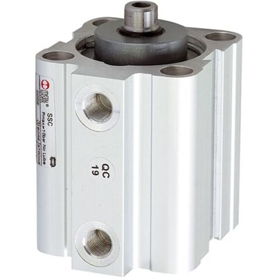 Cilindro neumático doble efecto Riegler - Ø 63, Carrera 30 Cilindro neumático doble efecto Riegler - Ø 63, Carrera 30