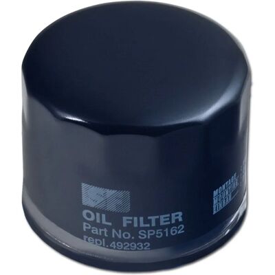 Filtro Olio Arnold Vanguard Intek Powerbuilt - Filtro olio Filtro Olio Arnold Vanguard Intek Powerbuilt - Filtro olio