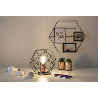 Hama Bombilla LED Luz Día - WiFi inteligente, Regulable, 6,5W Hama Bombilla LED Luz Día - WiFi inteligente, Regulable, 6,5W
