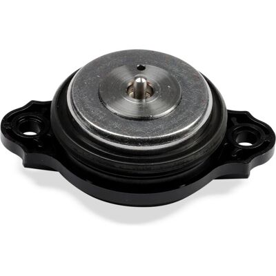 Hepu BMW Camshaft Adjustment Magnet - 11367593719, 215065 Hepu BMW Camshaft Adjustment Magnet - 11367593719, 215065