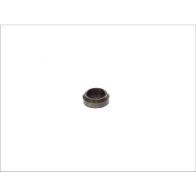DT Spare Parts Ventilkappe - 3.13045 DT Spare Parts Ventilkappe - 3.13045