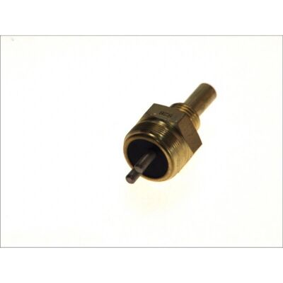DT Modell 4.61828 Temperatursensor - Temperatursensor DT Modell 4.61828 Temperatursensor - Temperatursensor