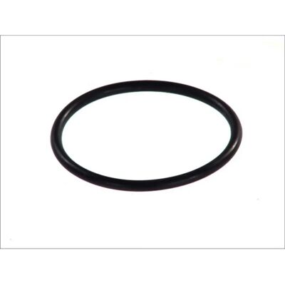 DT Spare Parts O-renkaan 6.89203 - Tiiviste DT Spare Parts O-renkaan 6.89203 - Tiiviste