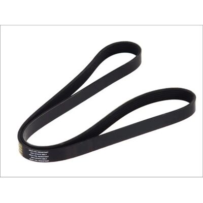 DT Spare Parts Courroie trapézoïdale - 6PK1398 DT Spare Parts Courroie trapézoïdale - 6PK1398