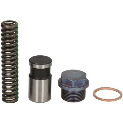 Kit de réparation de soupape de décharge DT Spare Parts Kit de réparation de soupape de décharge DT Spare Parts