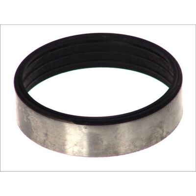 DT SPARE PARTS Anneau de roulement - 5.40145 DT SPARE PARTS Anneau de roulement - 5.40145