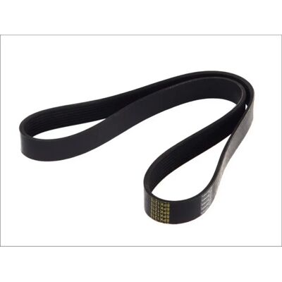 DT Spare Parts Rippriem - V-ribbed belt DT Spare Parts Rippriem - V-ribbed belt