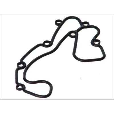 DT Spare Parts Öl Kühler Dichtung - 4.20507 DT Spare Parts Öl Kühler Dichtung - 4.20507