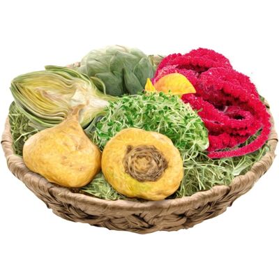REAL NATURE Menù Ottimale per Cavie - Alimento per animali REAL NATURE Menù Ottimale per Cavie - Alimento per animali